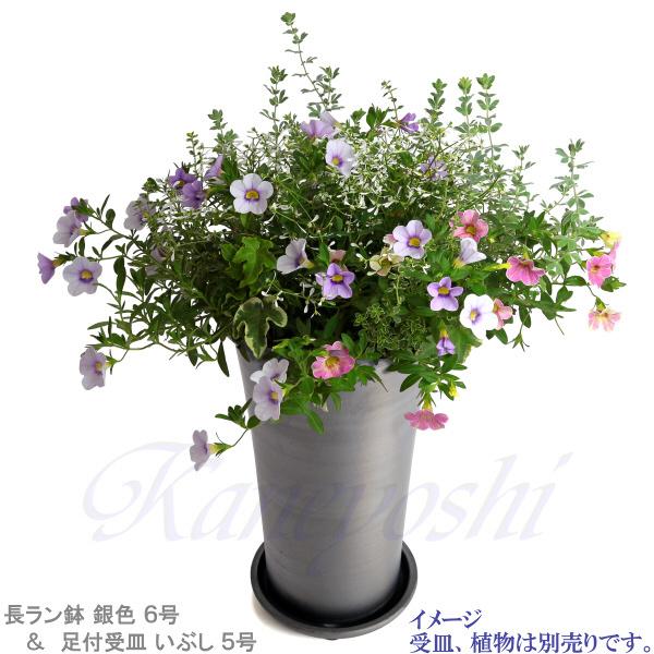 植木鉢 おしゃれ 安い 陶器 サイズ 18.5cm 長ラン鉢 6号 銀色 室内 屋外 いぶし グレー 色 |  | 12