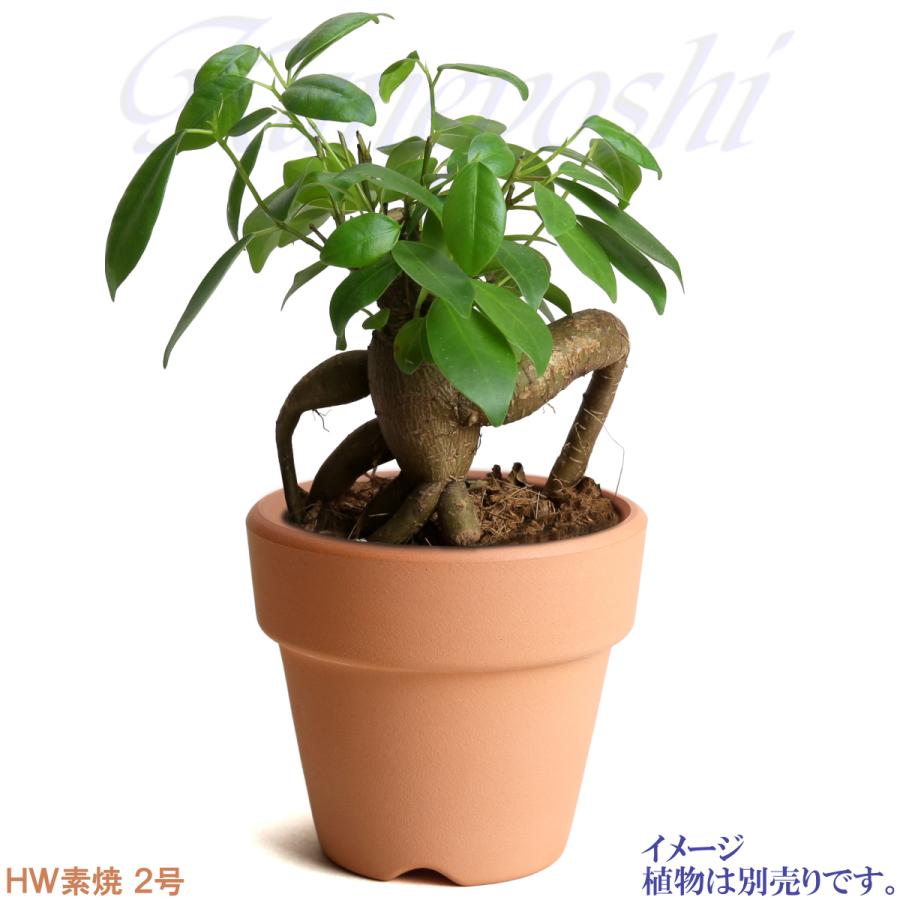 植木鉢 おしゃれ 安い 陶器 サイズ 6.7cm ＨＷ素焼鉢 BASIC 2号 レンガ色 室内 テラコッタ 日本製 |  | 10