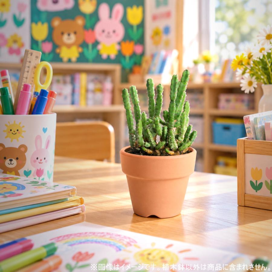植木鉢 おしゃれ 安い 陶器 サイズ 6.7cm ＨＷ素焼鉢 BASIC 2号 レンガ色 室内 テラコッタ 日本製 |  | 13