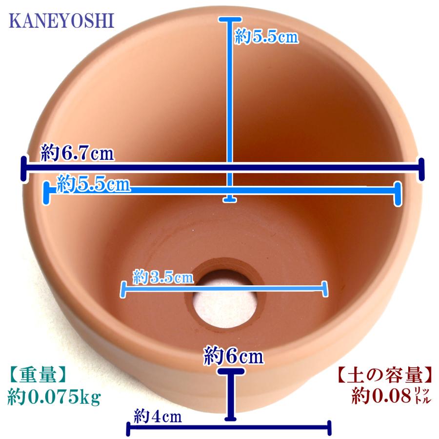 植木鉢 おしゃれ 安い 陶器 サイズ 6.7cm ＨＷ素焼鉢 BASIC 2号 レンガ色 室内 テラコッタ 日本製 |  | 04