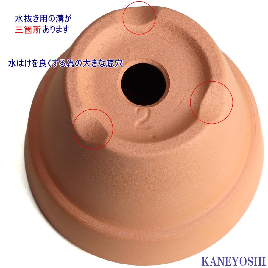 植木鉢 おしゃれ 安い 陶器 サイズ 6.7cm ＨＷ素焼鉢 BASIC 2号 レンガ色 室内 テラコッタ 日本製 |  | 05