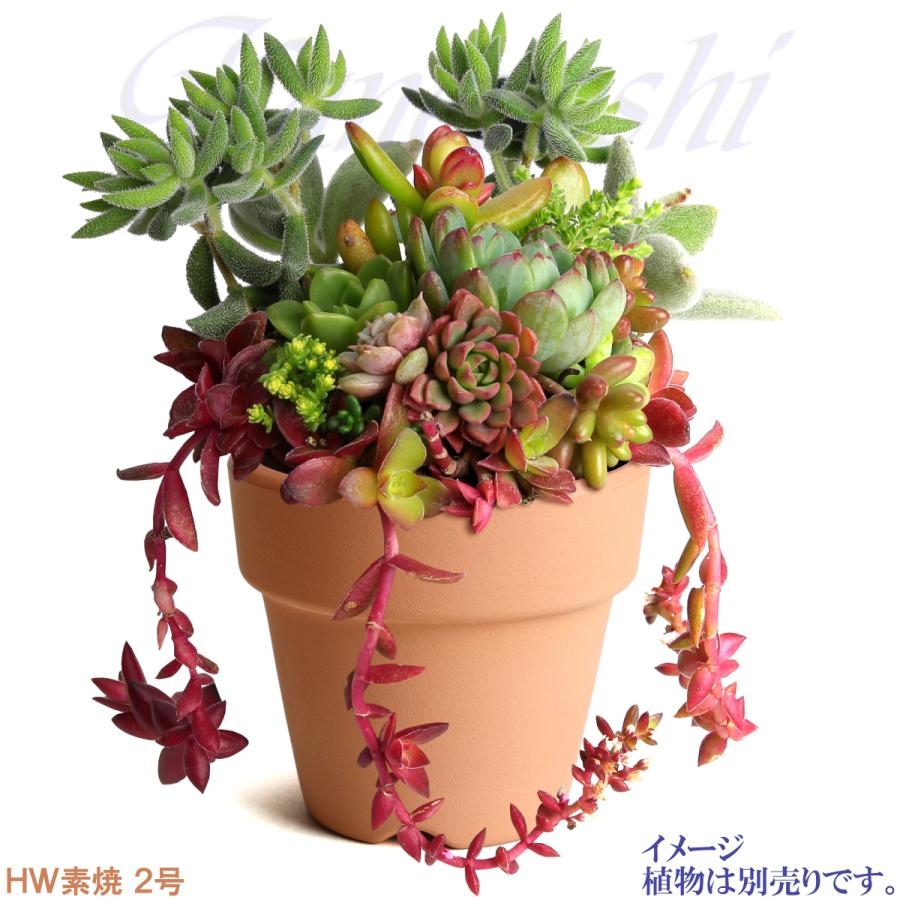 植木鉢 おしゃれ 安い 陶器 サイズ 6.7cm ＨＷ素焼鉢 BASIC 2号 レンガ色 室内 テラコッタ 日本製 |  | 06