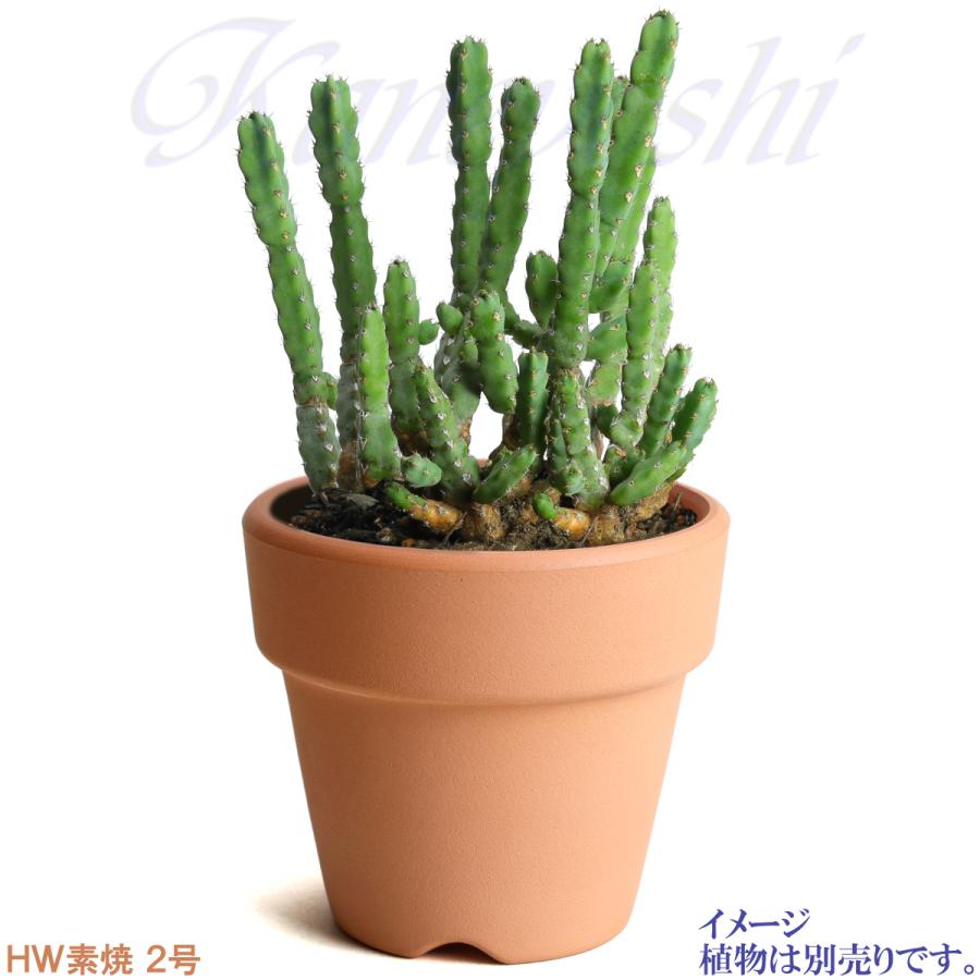 植木鉢 おしゃれ 安い 陶器 サイズ 6.7cm ＨＷ素焼鉢 BASIC 2号 レンガ色 室内 テラコッタ 日本製 |  | 08