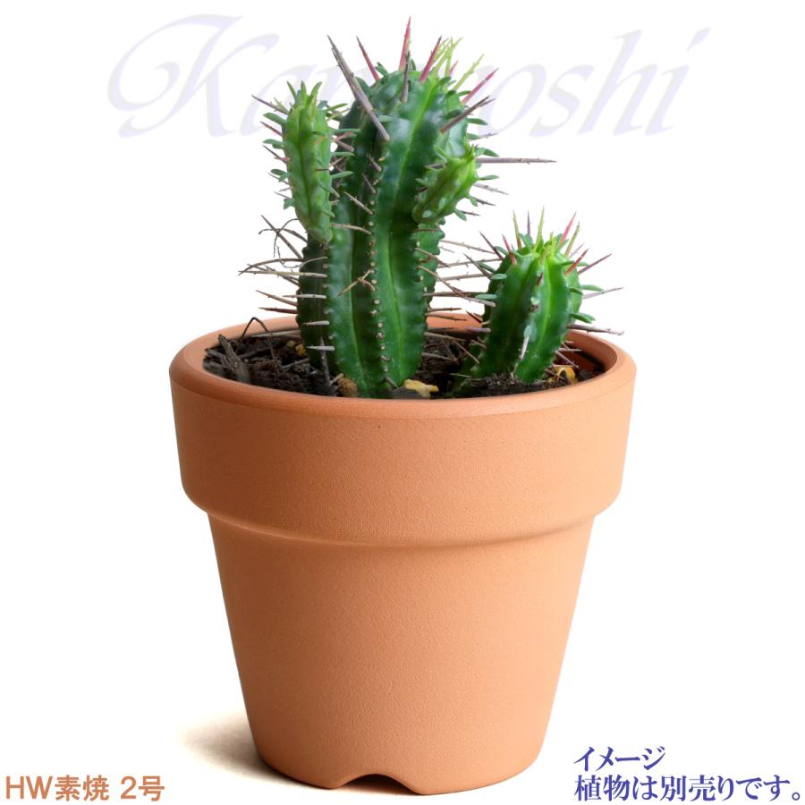 植木鉢 おしゃれ 安い 陶器 サイズ 6.7cm ＨＷ素焼鉢 BASIC 2号 レンガ色 室内 テラコッタ 日本製 |  | 09
