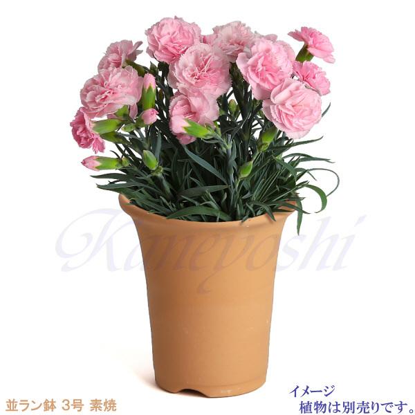 植木鉢 陶器 素焼並ラン鉢 3号 おしゃれ サイズ 10cm 排水 通気 素焼鉢 蘭 栽培 安くて植物に良い鉢 日本製 テラコッタ 国産 |  | 05