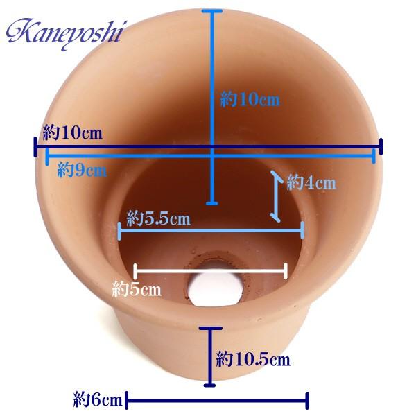 植木鉢 陶器 素焼並ラン鉢 3号 おしゃれ サイズ 10cm 排水 通気 素焼鉢 蘭 栽培 安くて植物に良い鉢 日本製 テラコッタ 国産 |  | 02