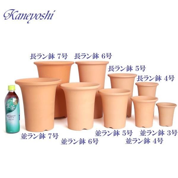 植木鉢 陶器 素焼並ラン鉢 3号 おしゃれ サイズ 10cm 排水 通気 素焼鉢 蘭 栽培 安くて植物に良い鉢 日本製 テラコッタ 国産｜docchan｜05