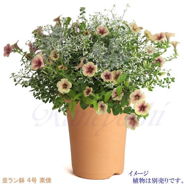 植木鉢 陶器 素焼並ラン鉢 4号 おしゃれ サイズ 13cm 排水 通気 素焼鉢 蘭 栽培 安くて植物に良い鉢 日本製 テラコッタ 国産 |  | 05