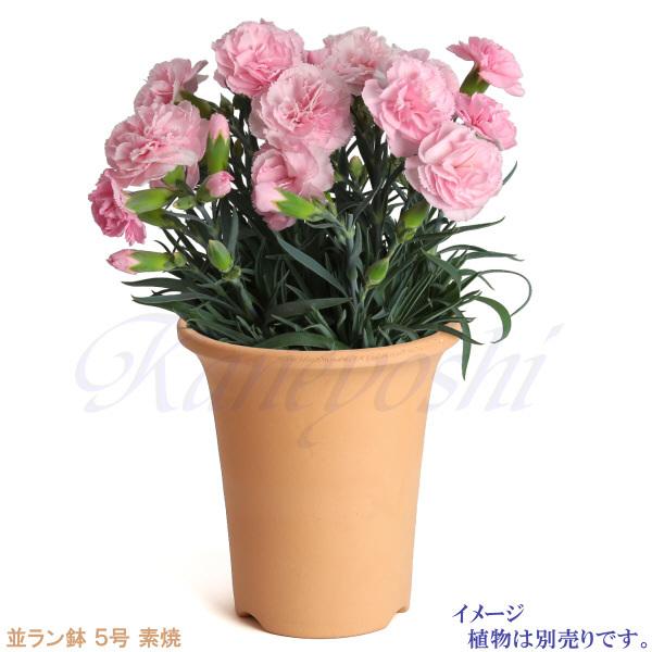 植木鉢 陶器 素焼並ラン鉢 5号 おしゃれ サイズ 16.5cm 排水 通気 素焼鉢 蘭 栽培 安くて植物に良い鉢 日本製 テラコッタ 国産 |  | 05