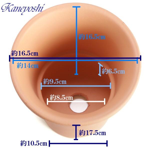 植木鉢 陶器 素焼並ラン鉢 5号 おしゃれ サイズ 16.5cm 排水 通気 素焼鉢 蘭 栽培 安くて植物に良い鉢 日本製 テラコッタ 国産 |  | 02