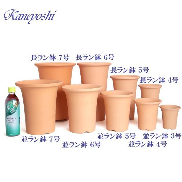 植木鉢 陶器 素焼並ラン鉢 5号 おしゃれ サイズ 16.5cm 排水 通気 素焼鉢 蘭 栽培 安くて植物に良い鉢 日本製 テラコッタ 国産 |  | 04