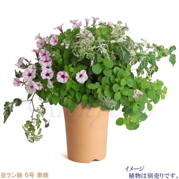植木鉢 陶器 素焼並ラン鉢 6号 おしゃれ サイズ 19.5cm 排水 通気 素焼鉢 蘭 栽培 安くて植物に良い鉢 日本製 テラコッタ 国産 |  | 05