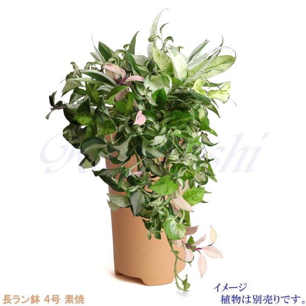植木鉢 おしゃれ 安い 陶器 サイズ 13cm 長ラン鉢 4号 素焼 室内 屋外 レンガ 色 |  | 05