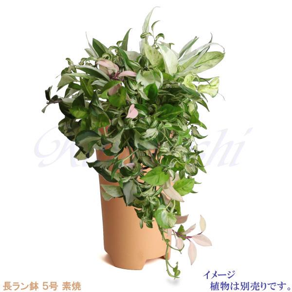 植木鉢 おしゃれ 安い 陶器 サイズ 16.5cm 長ラン鉢 5号 素焼 室内 屋外 レンガ 色 |  | 06