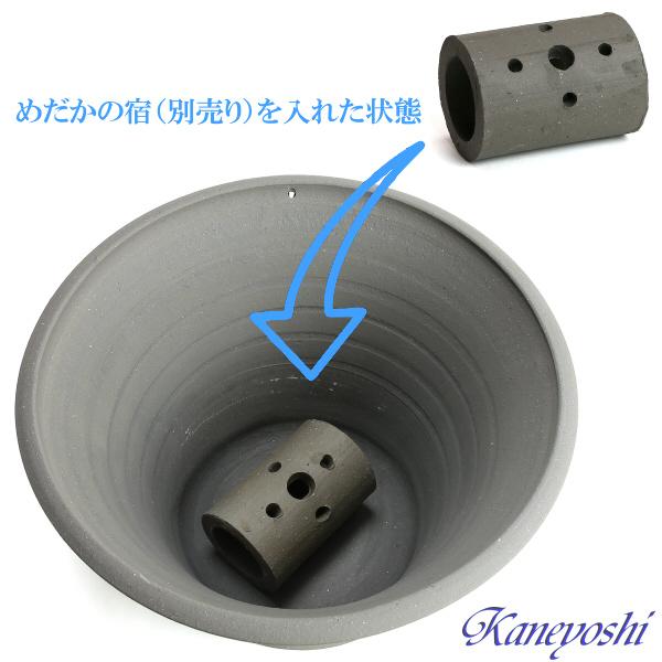 睡蓮鉢 めだか鉢 水鉢 陶器 おしゃれ サイズ 32cm 日本製 三河焼 めだかの池 10号 手造り エンシャント |  | 07