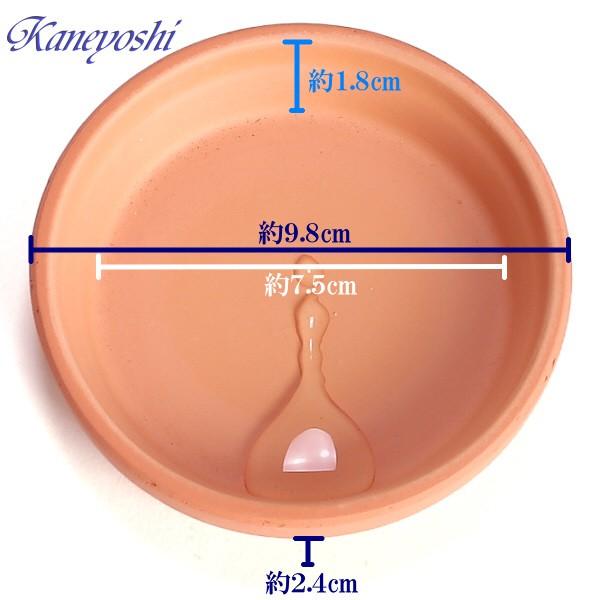 植木鉢用皿　陶器　おしゃれ　サイズ　１０ｃｍ　ＨＯ受皿　３号　素焼 |  | 01