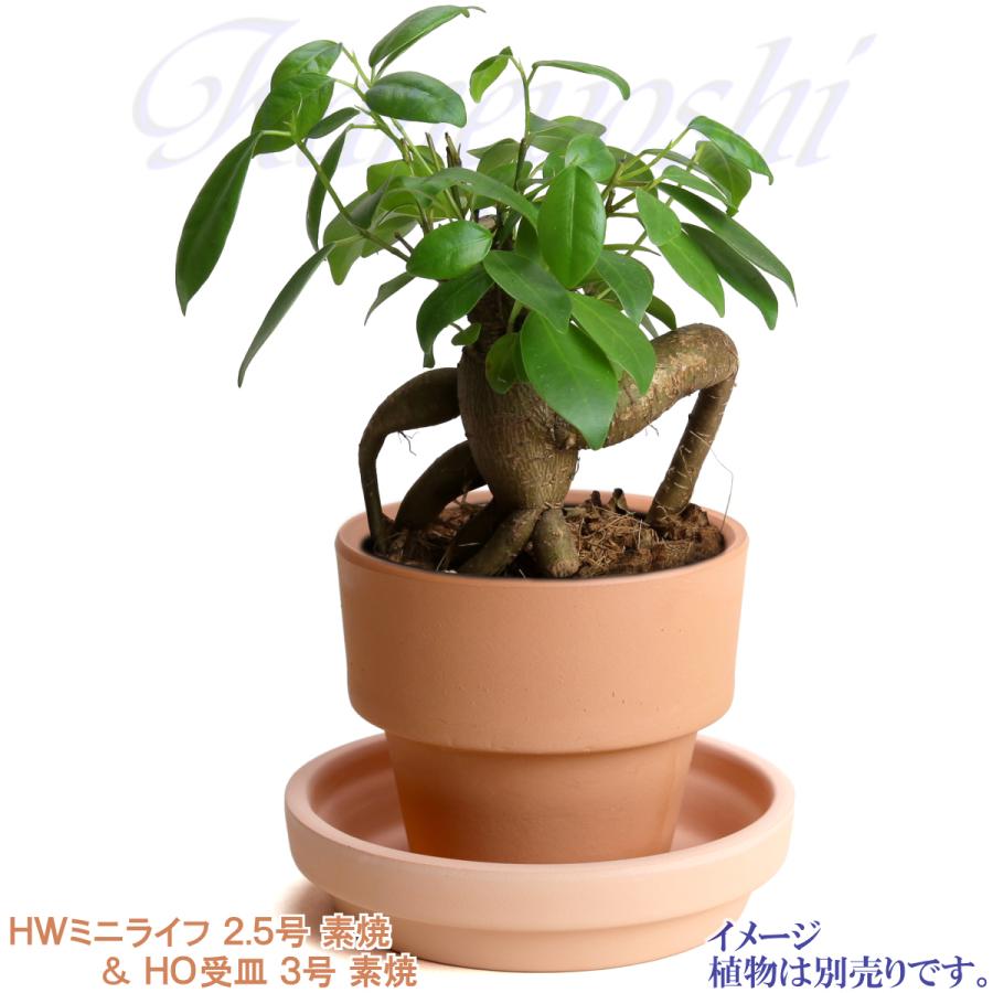 植木鉢 おしゃれ 安い 陶器 サイズ ８cm ＨＷミニライフ 2.5号 素焼 レンガ色 室内 テラコッタ 日本製 |  | 10
