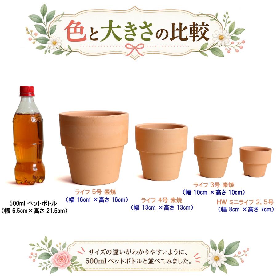 植木鉢 おしゃれ 安い 陶器 サイズ ８cm ＨＷミニライフ 2.5号 素焼 レンガ色 室内 テラコッタ 日本製 |  | 14
