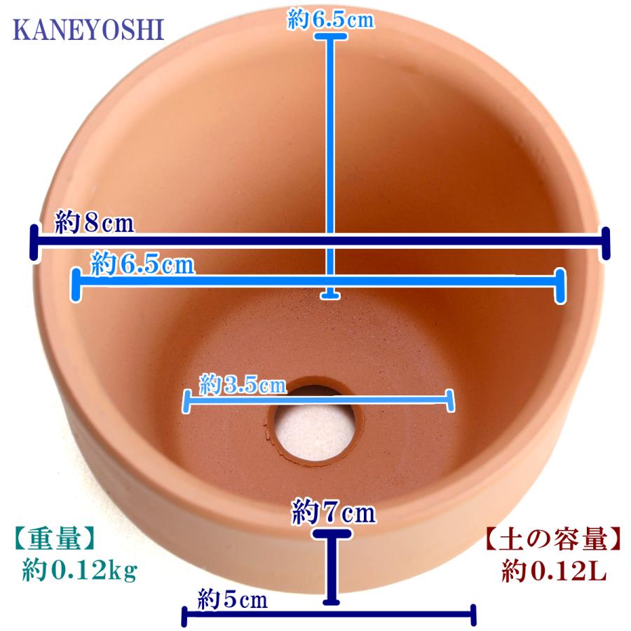 植木鉢 おしゃれ 安い 陶器 サイズ ８cm ＨＷミニライフ 2.5号 素焼 レンガ色 室内 テラコッタ 日本製 |  | 04