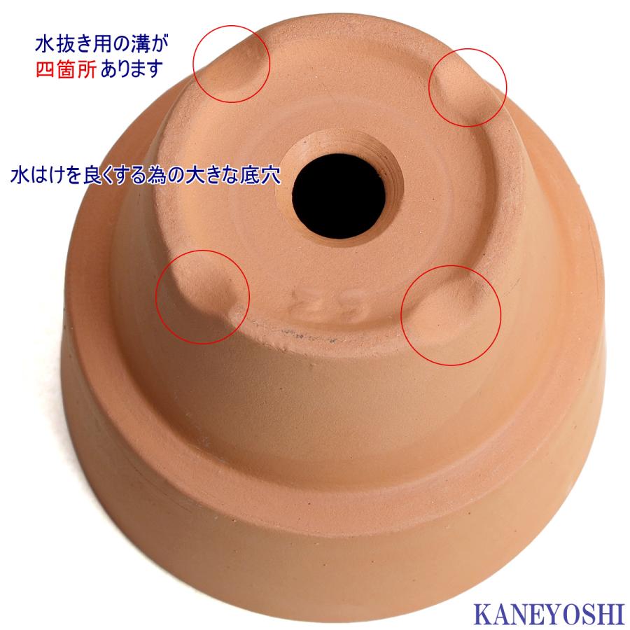 植木鉢 おしゃれ 安い 陶器 サイズ ８cm ＨＷミニライフ 2.5号 素焼 レンガ色 室内 テラコッタ 日本製 |  | 05