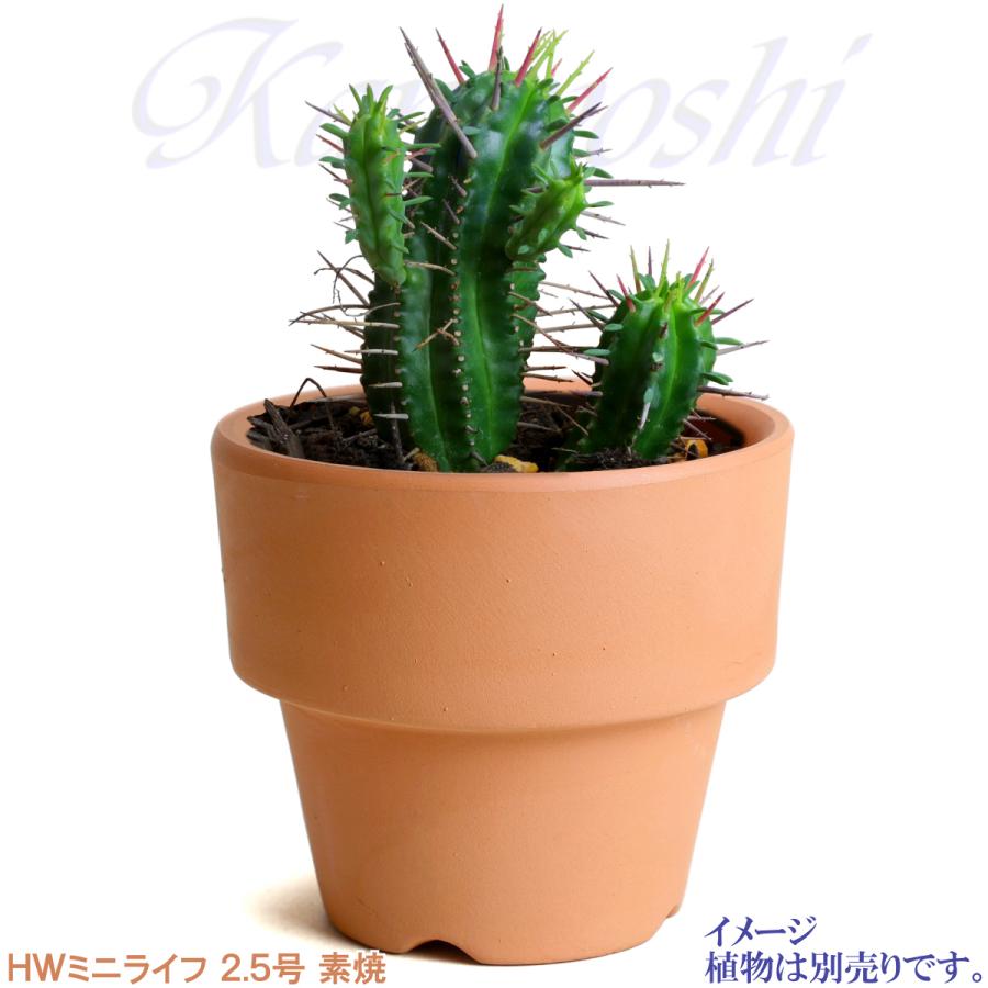 植木鉢 おしゃれ 安い 陶器 サイズ ８cm ＨＷミニライフ 2.5号 素焼 レンガ色 室内 テラコッタ 日本製 |  | 08