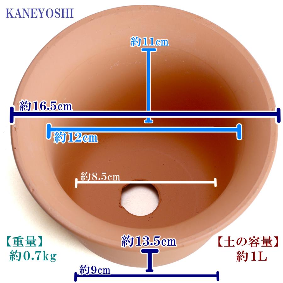 植木鉢 おしゃれ 安い 陶器 サイズ 1６cm ＨＷ尻丸鉢 ５号 素焼 レンガ色 室内 屋外 テラコッタ 色 国産 日本製 |  | 03