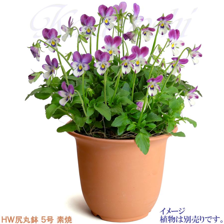 植木鉢 おしゃれ 安い 陶器 サイズ 1６cm ＨＷ尻丸鉢 ５号 素焼 レンガ色 室内 屋外 テラコッタ 色 国産 日本製 |  | 05