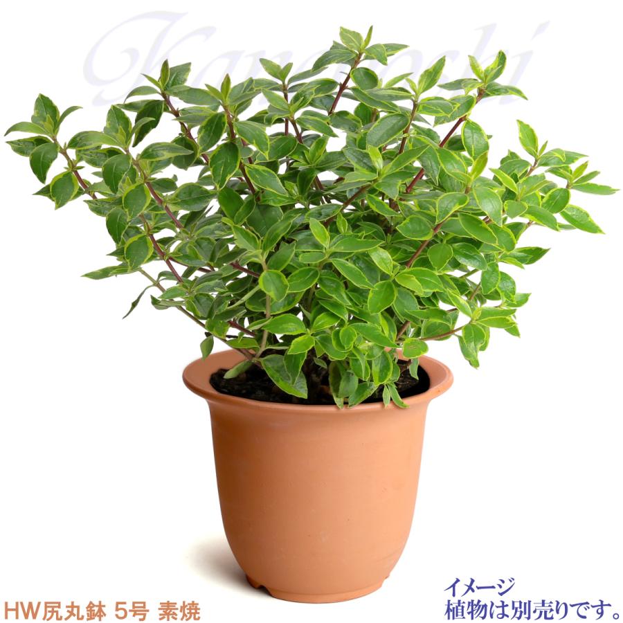 植木鉢 おしゃれ 安い 陶器 サイズ 1６cm ＨＷ尻丸鉢 ５号 素焼 レンガ色 室内 屋外 テラコッタ 色 国産 日本製 |  | 07