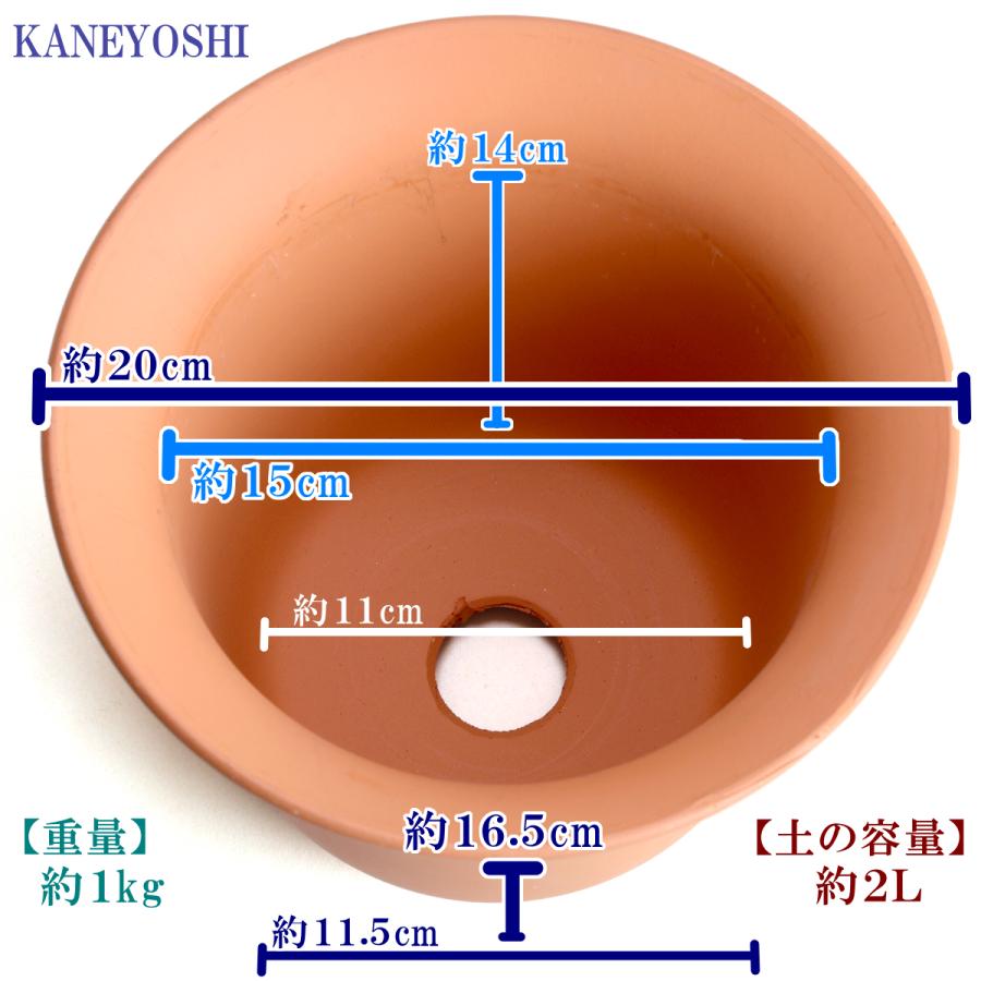 植木鉢 おしゃれ 安い 陶器 サイズ 19cm ＨＷ尻丸鉢 ６号 素焼 レンガ色 室内 屋外 テラコッタ 色 国産 日本製 |  | 03