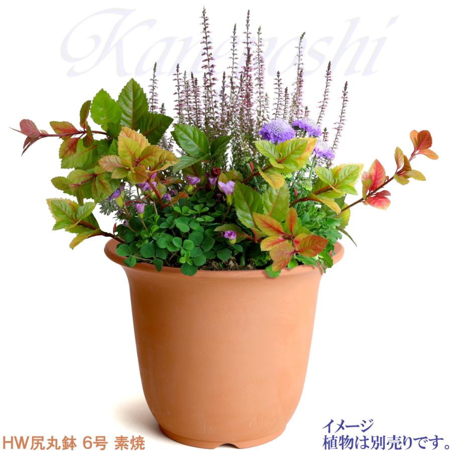 植木鉢 おしゃれ 安い 陶器 サイズ 19cm ＨＷ尻丸鉢 ６号 素焼 レンガ色 室内 屋外 テラコッタ 色 国産 日本製 |  | 05