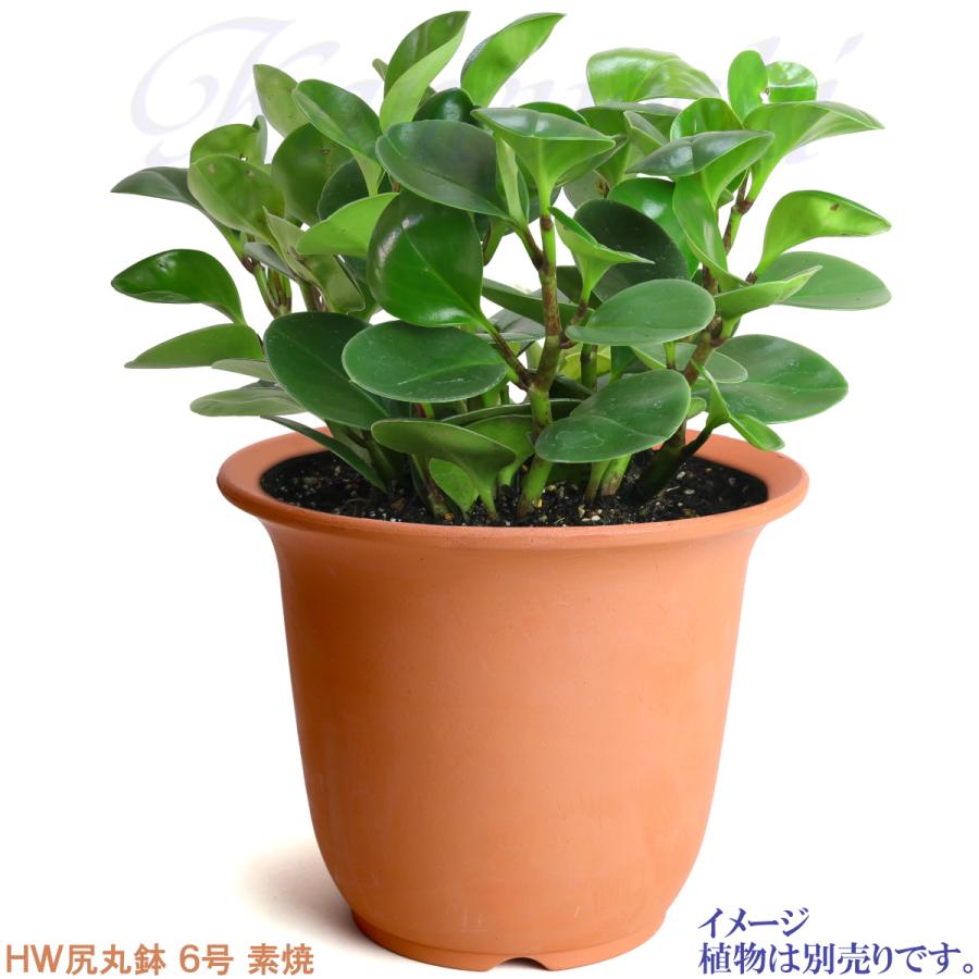 植木鉢 おしゃれ 安い 陶器 サイズ 19cm ＨＷ尻丸鉢 ６号 素焼 レンガ色 室内 屋外 テラコッタ 色 国産 日本製 |  | 07