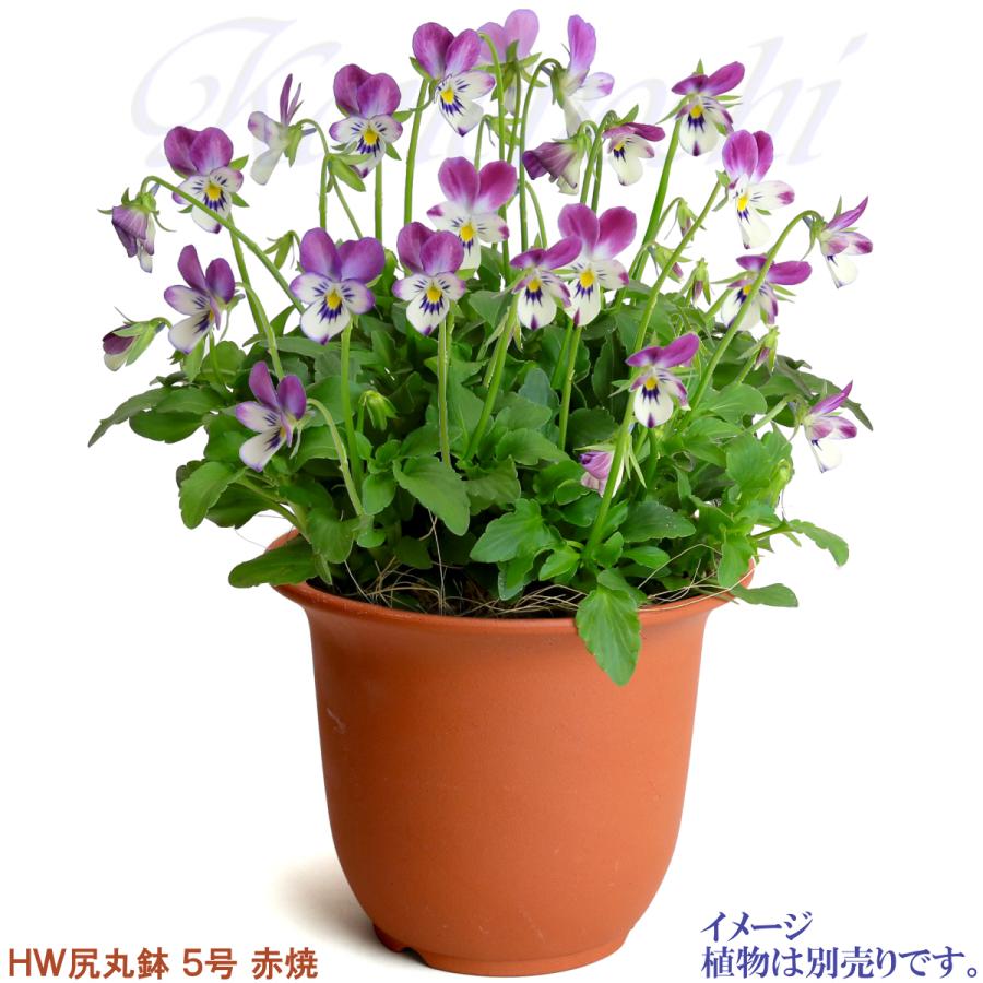 植木鉢 おしゃれ 安い 陶器 サイズ 1５cm ＨＷ尻丸鉢 ５号 赤焼 レンガ色 室内 屋外 テラコッタ 色 国産 日本製 菊 福助 |  | 06