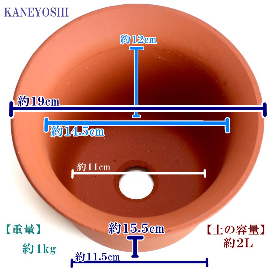 植木鉢 おしゃれ 安い 陶器 サイズ 19cm ＨＷ尻丸鉢 ６号 赤焼 レンガ色 室内 屋外 テラコッタ 色 国産 日本製 菊 福助 |  | 03