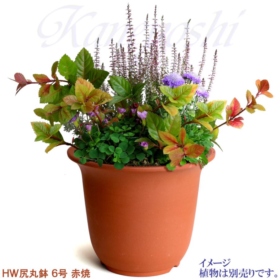 植木鉢 おしゃれ 安い 陶器 サイズ 19cm ＨＷ尻丸鉢 ６号 赤焼 レンガ色 室内 屋外 テラコッタ 色 国産 日本製 菊 福助 |  | 05