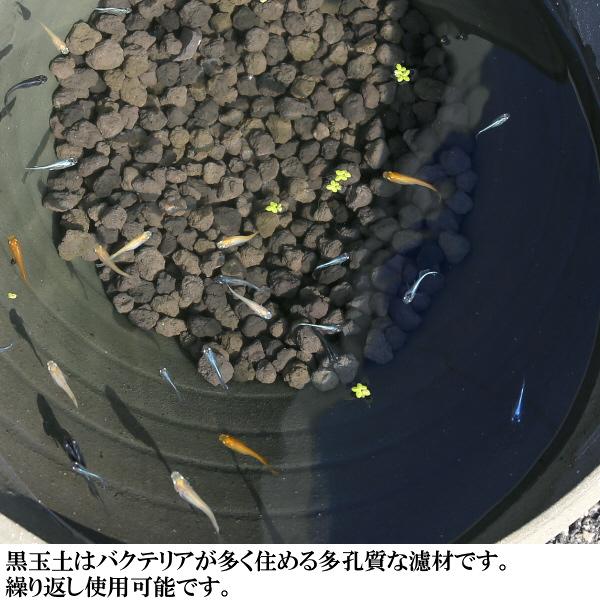 睡蓮鉢　めだか鉢　水鉢　アクセサリー　日本製（三河焼）　バクテリアが多く住める多孔質ろ材　黒玉土１リットル |  | 03