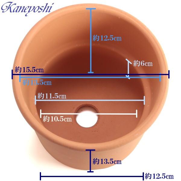 植木鉢 おしゃれ 安い 陶器 サイズ 15.5cm Sポット 5号 赤焼 室内 屋外 レンガ 色 |  | 03