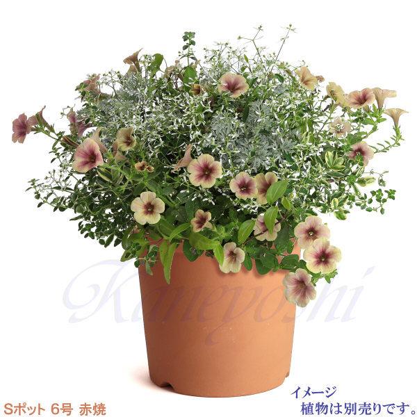 植木鉢 おしゃれ 安い 陶器 サイズ 19cm Sポット 6号 赤焼 室内 屋外 レンガ 色 |  | 07