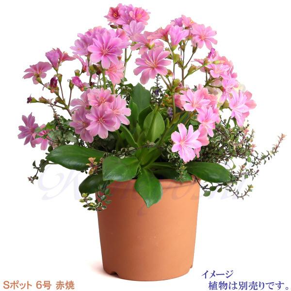 植木鉢 おしゃれ 安い 陶器 サイズ 19cm Sポット 6号 赤焼 室内 屋外 レンガ 色 |  | 08