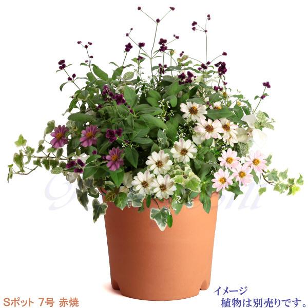 植木鉢 おしゃれ 安い 陶器 サイズ 22.5cm Sポット 7号 赤焼 室内 屋外 レンガ 色 |  | 09