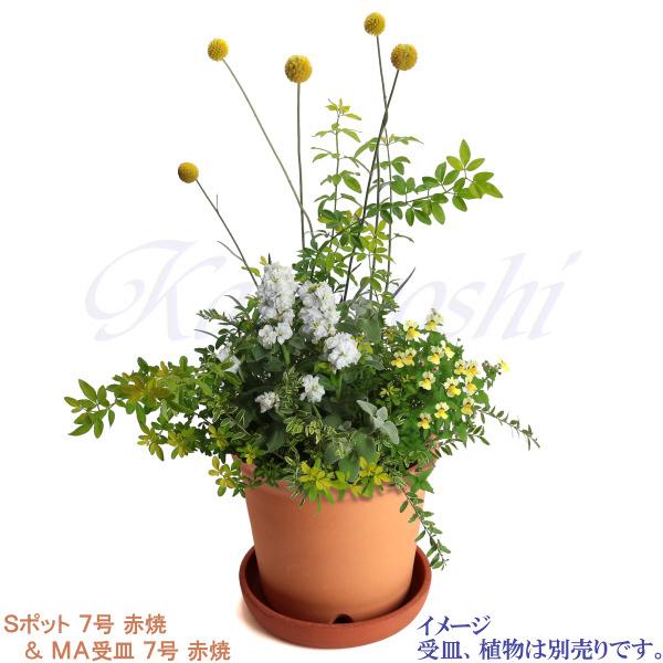 植木鉢 おしゃれ 安い 陶器 サイズ 22.5cm Sポット 7号 赤焼 室内 屋外 レンガ 色 |  | 10