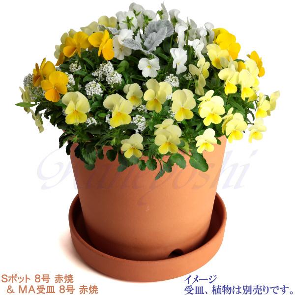 植木鉢 おしゃれ 安い 陶器 サイズ 25cm Sポット 8号 赤焼 室内 屋外 レンガ 色 |  | 11