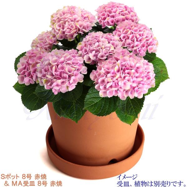 植木鉢 おしゃれ 安い 陶器 サイズ 25cm Sポット 8号 赤焼 室内 屋外 レンガ 色 |  | 10