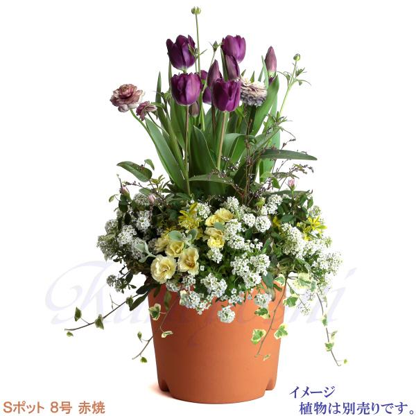 三河焼アミ柄ラン鉢赤焼6号＆7号各6ヶ12入まとめて超お買い得セット 植木鉢 おしゃれ 安い 陶器 サイズ 25cm Sポット 8号 赤焼 室内