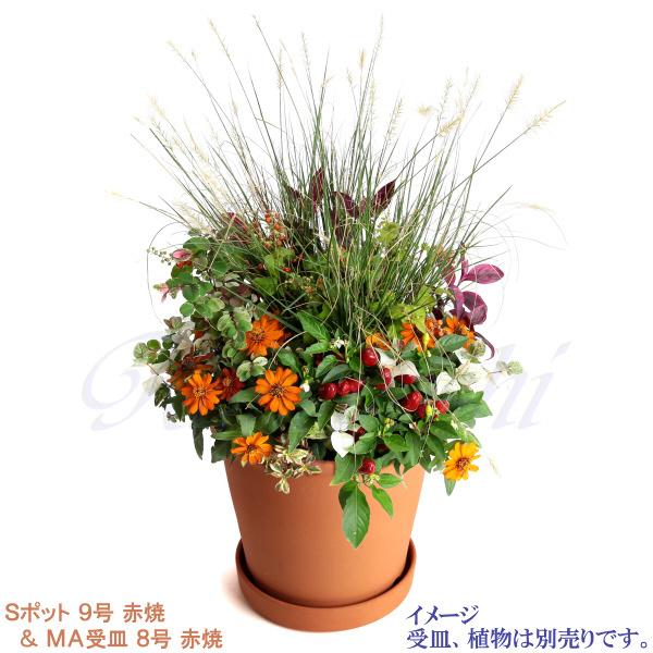 植木鉢 おしゃれ 安い 陶器 サイズ 27.5cm Sポット 9号 赤焼 室内 屋外 レンガ 色 |  | 11