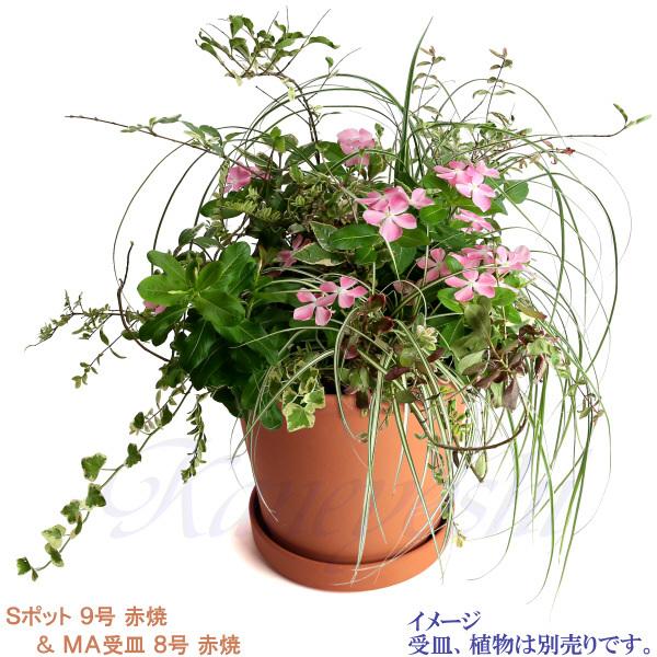 植木鉢 おしゃれ 安い 陶器 サイズ 27.5cm Sポット 9号 赤焼 室内 屋外 レンガ 色 |  | 10