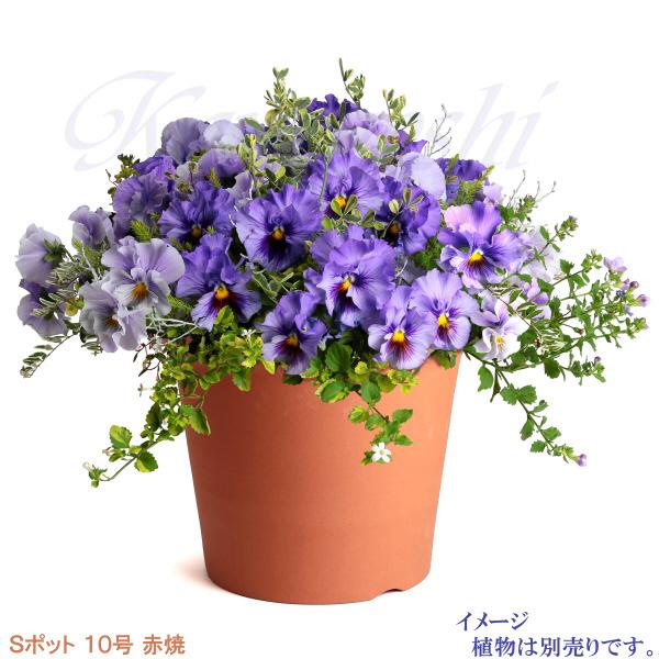 植木鉢 おしゃれ 安い 陶器 サイズ 31cm Sポット 10号 赤焼 室内 屋外 レンガ 色 |  | 08