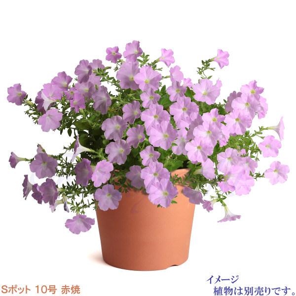 植木鉢 おしゃれ 安い 陶器 サイズ 31cm Sポット 10号 赤焼 室内 屋外 レンガ 色 |  | 09