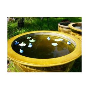 水に浮かぶ陶器　フロート 蓮の花　黄色 |  | 03