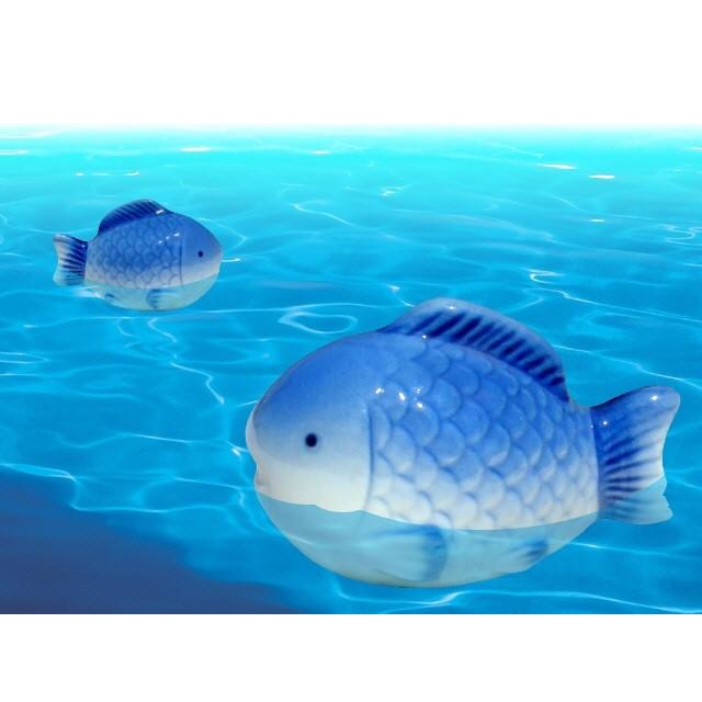 水に浮かぶ陶器　フロート フィシュ　青色 | 