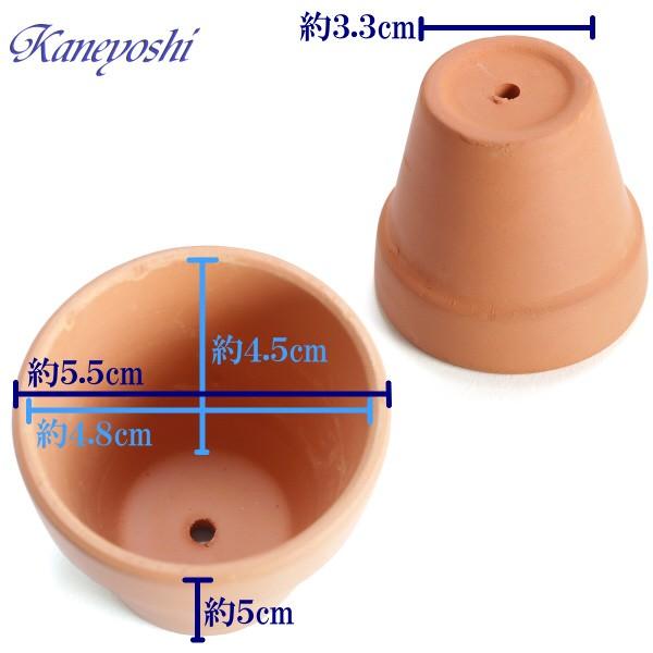 植木鉢　陶器　おしゃれ　サイズ　５．５ｃｍ　ミニミニテラコッタ |  | 01